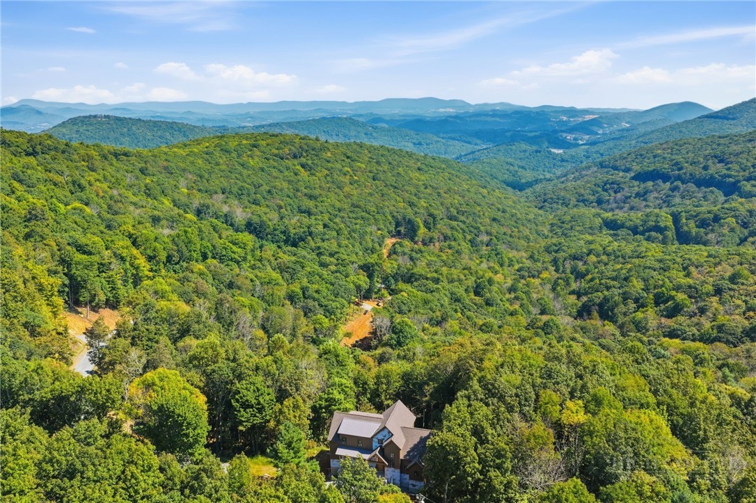 148 Sunny Chestnut Forest