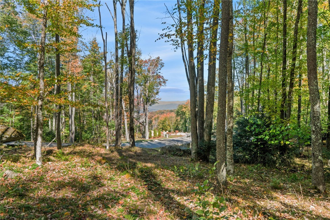 ES-97 Twisted Oak Path