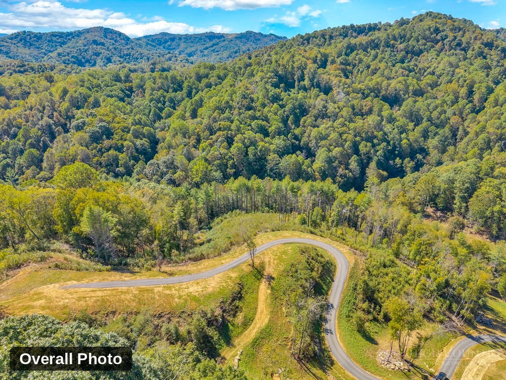Lot 5 Horseshoe Trail