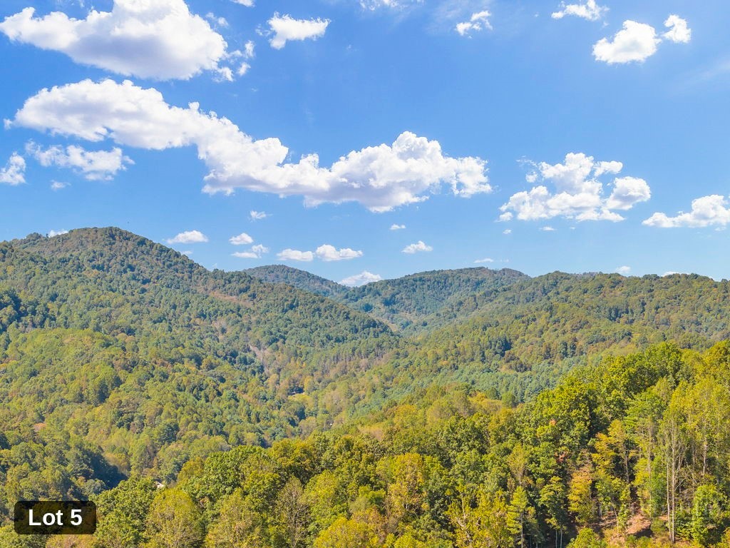 Lot 5 Horseshoe Trail