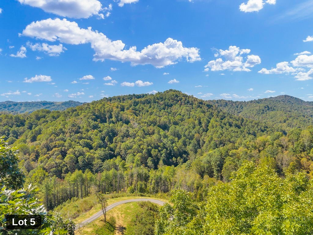 Lot 5 Horseshoe Trail
