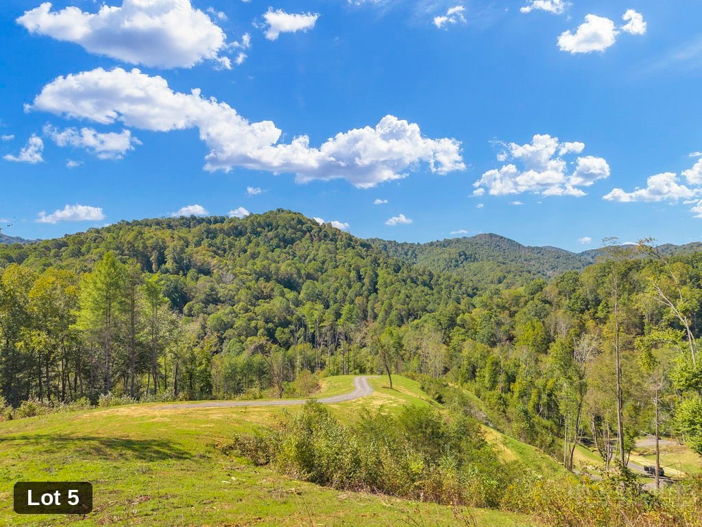 Lot 5 Horseshoe Trail