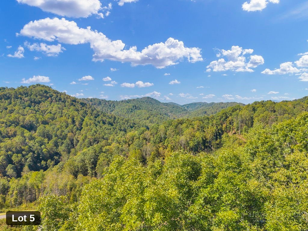 Lot 5 Horseshoe Trail