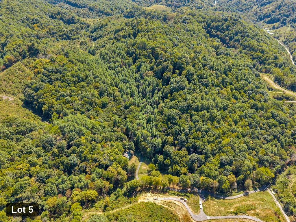 Lot 5 Horseshoe Trail