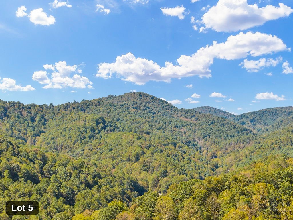Lot 5 Horseshoe Trail