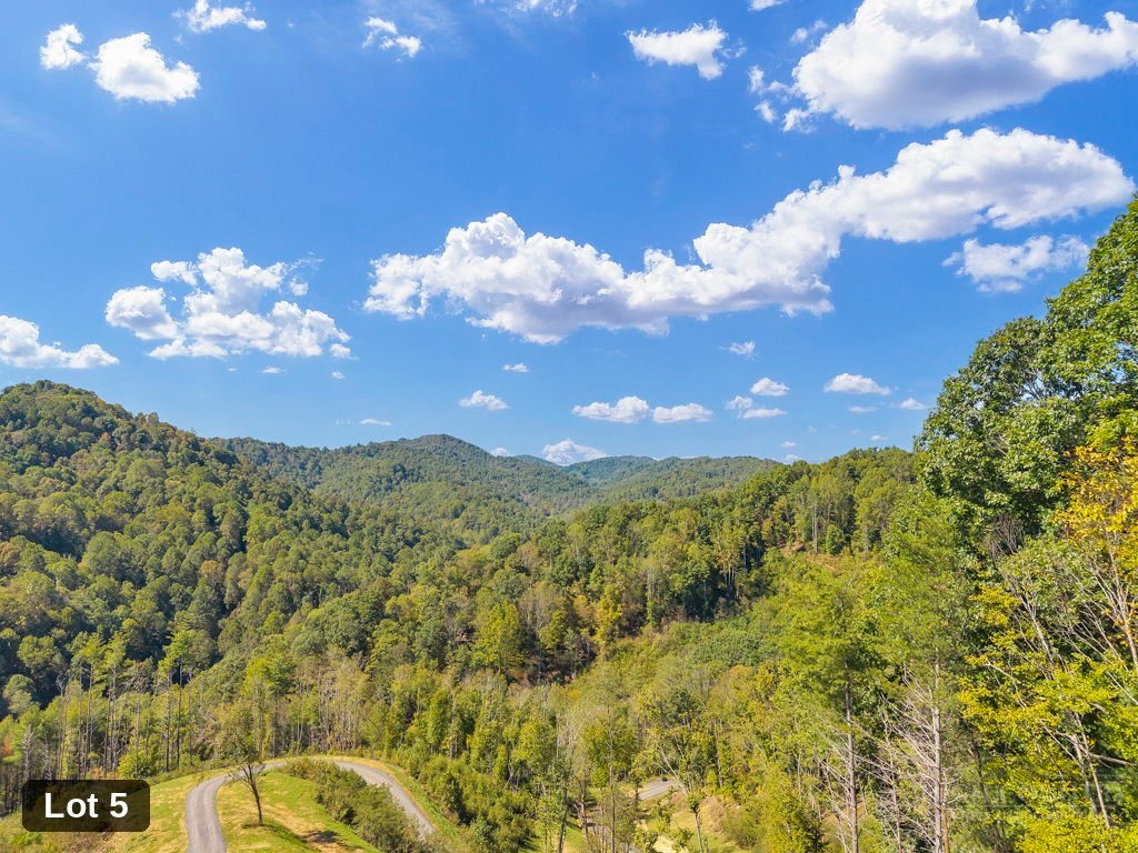 Lot 5 Horseshoe Trail