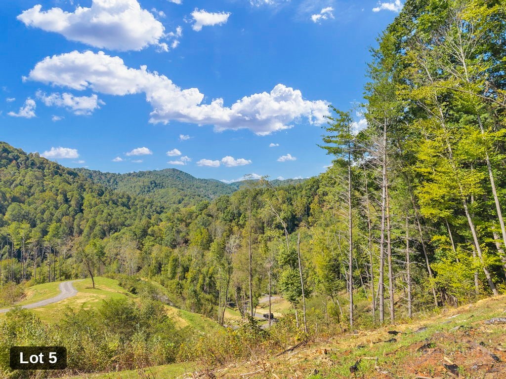 Lot 5 Horseshoe Trail