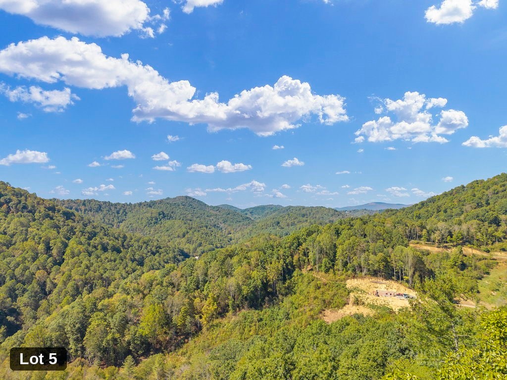 Lot 5 Horseshoe Trail
