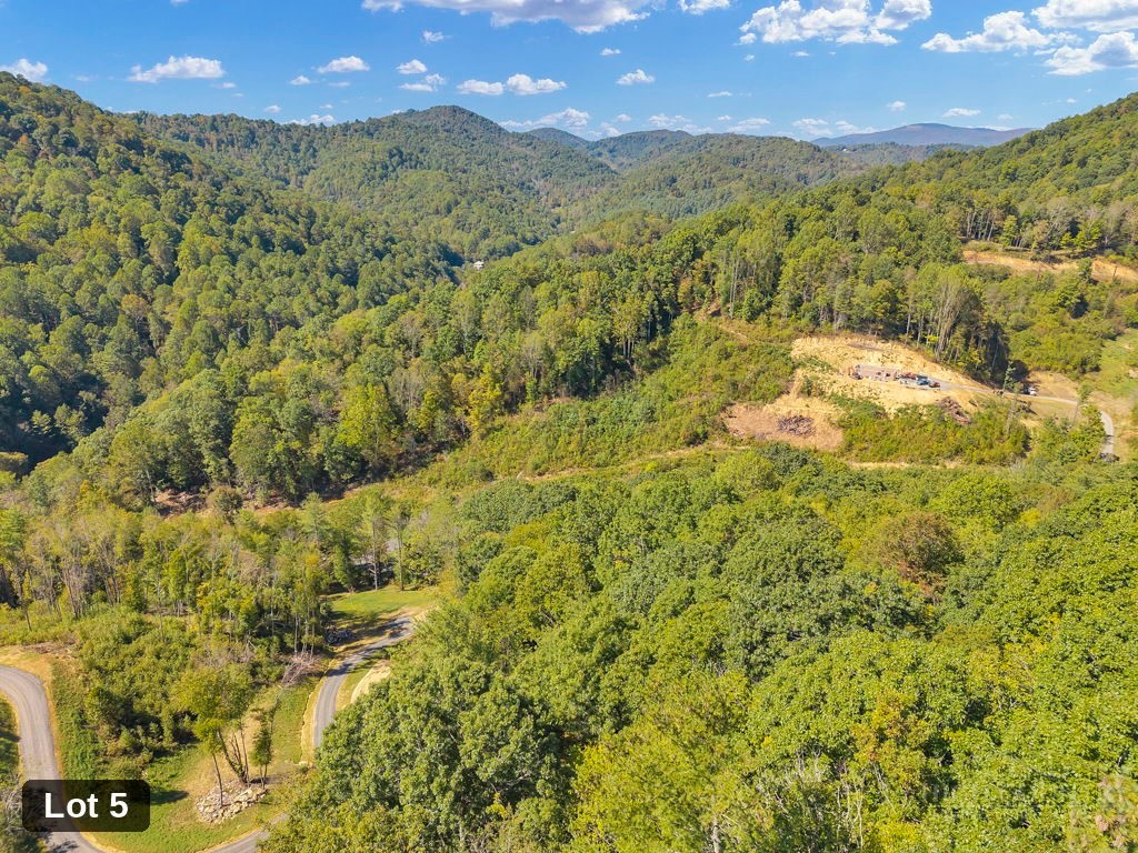 Lot 5 Horseshoe Trail