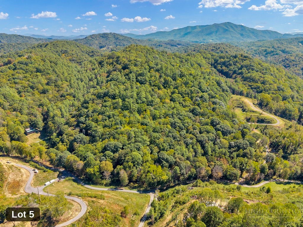 Lot 5 Horseshoe Trail