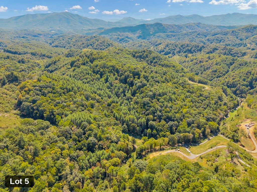 Lot 5 Horseshoe Trail