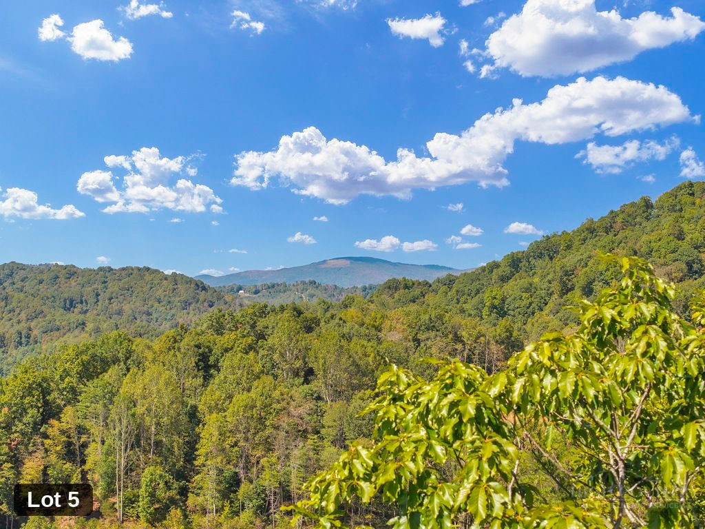 Lot 5 Horseshoe Trail