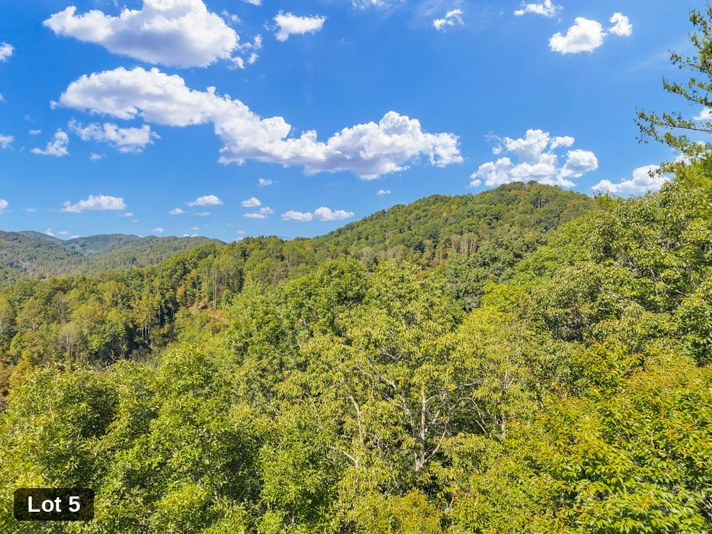 Lot 5 Horseshoe Trail