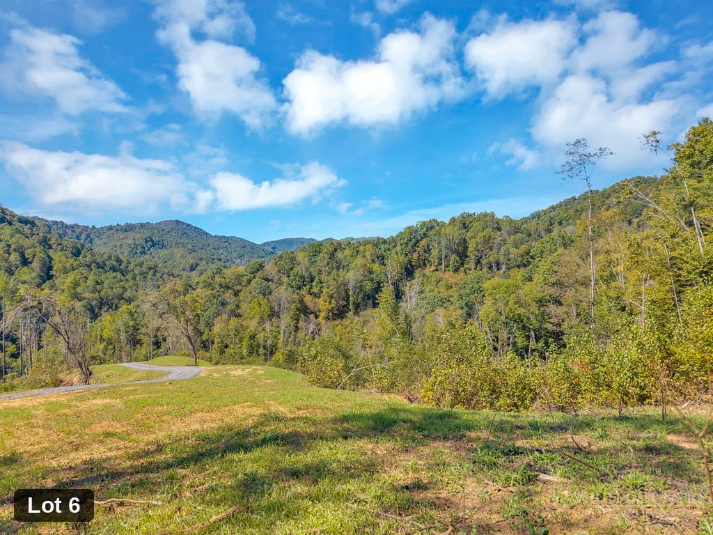 Lot 6 Horseshoe Trail