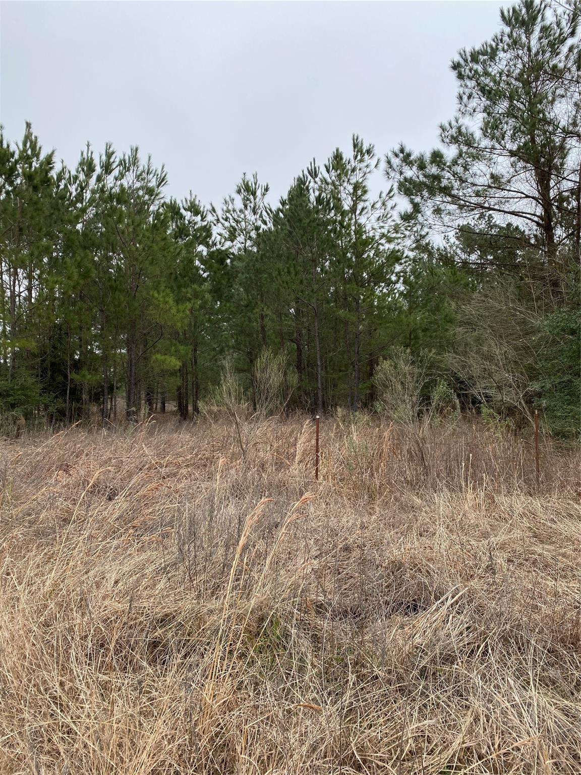 TBD Parcel 6250