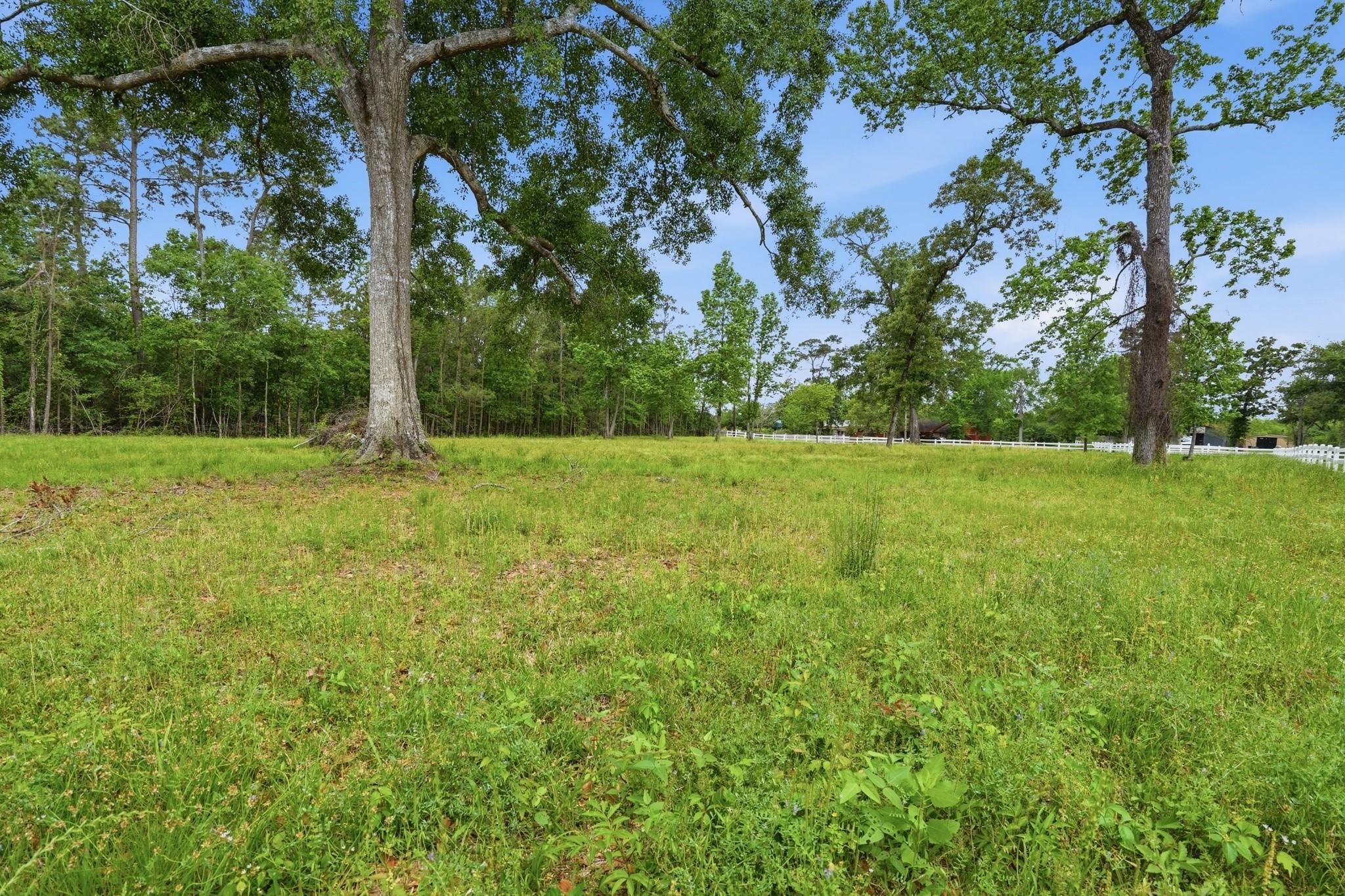 10240 Post Oak Drive