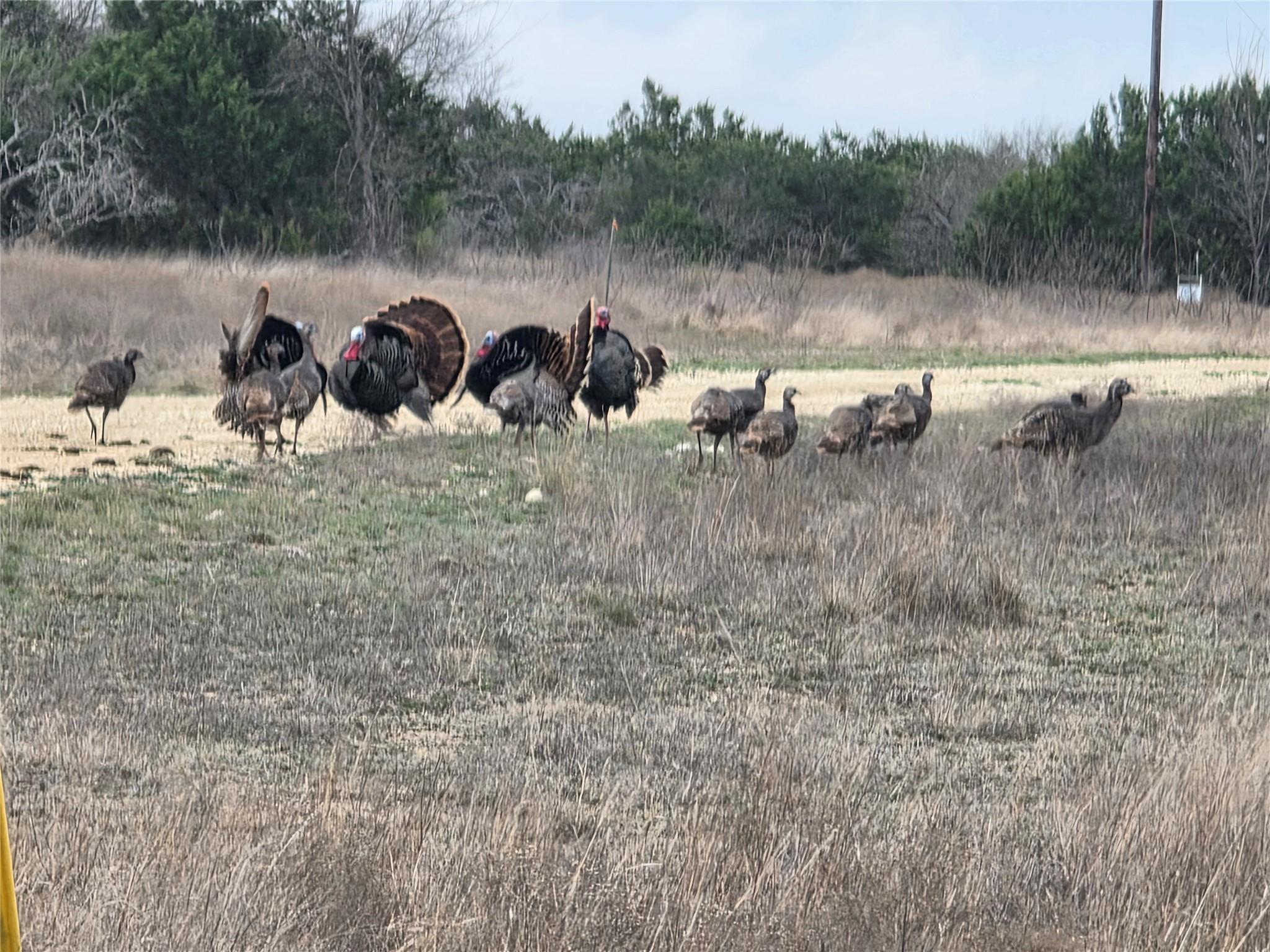 220 Private Road 16025