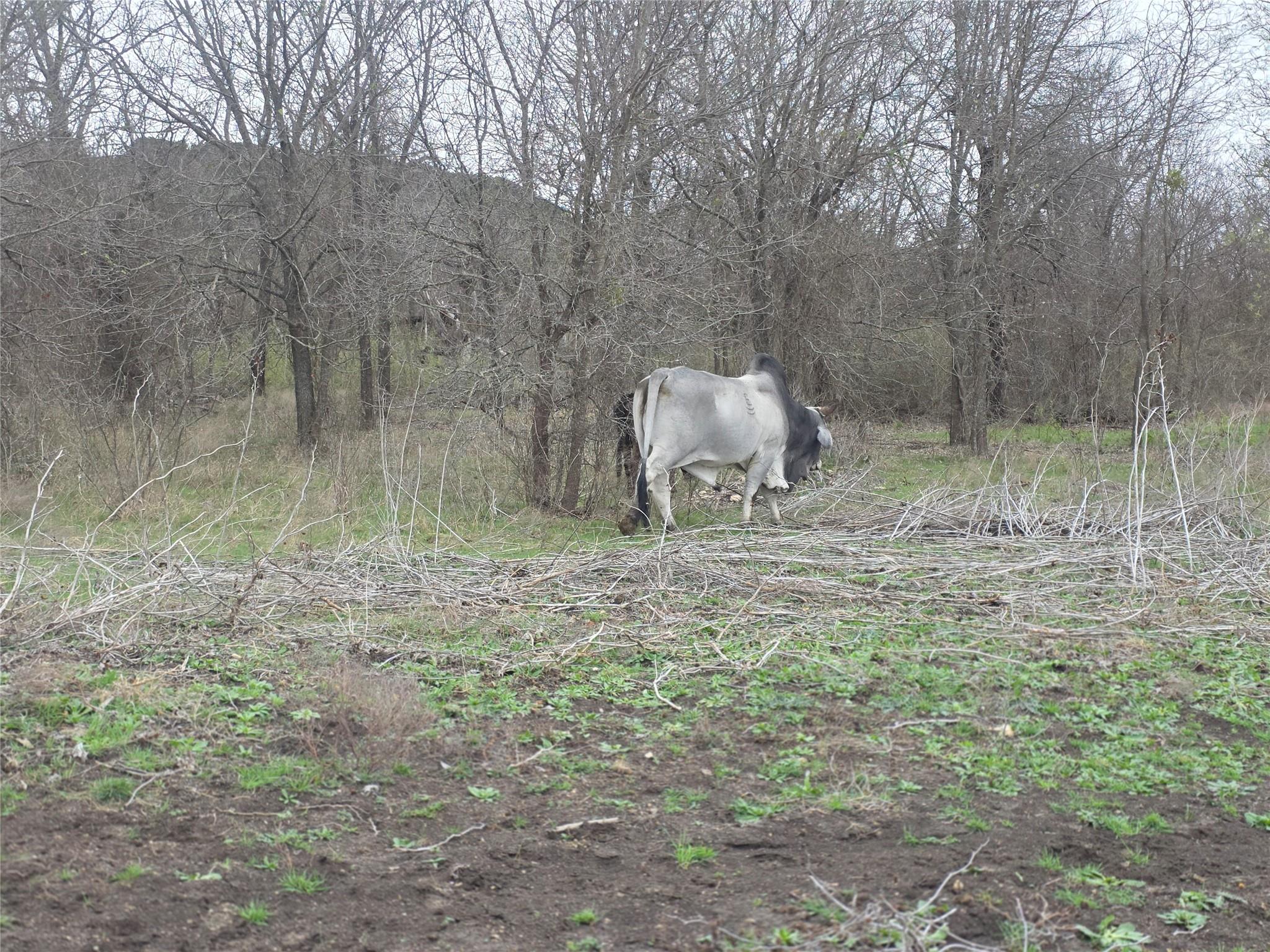 220 Private Road 16025