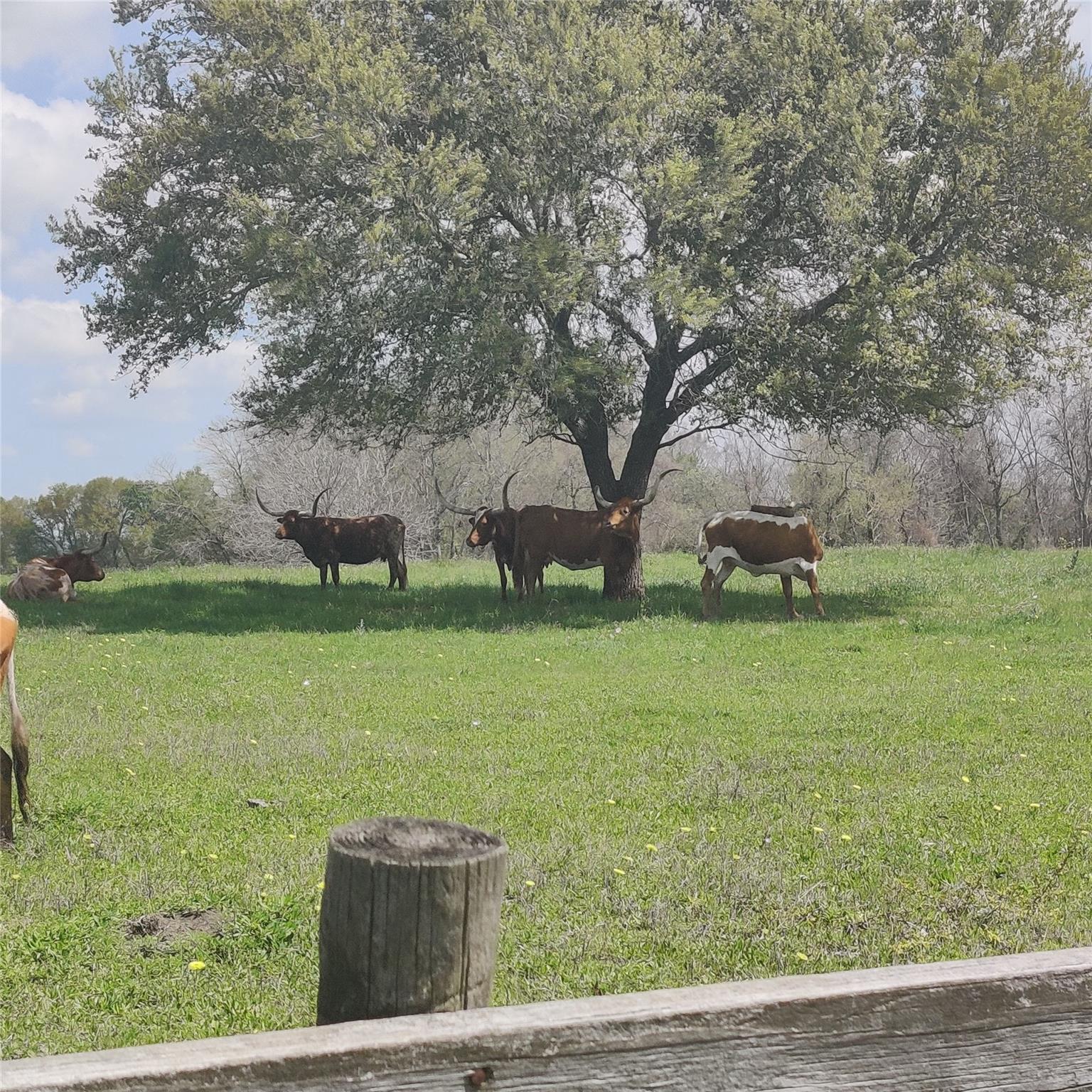 220 Private Road 16025