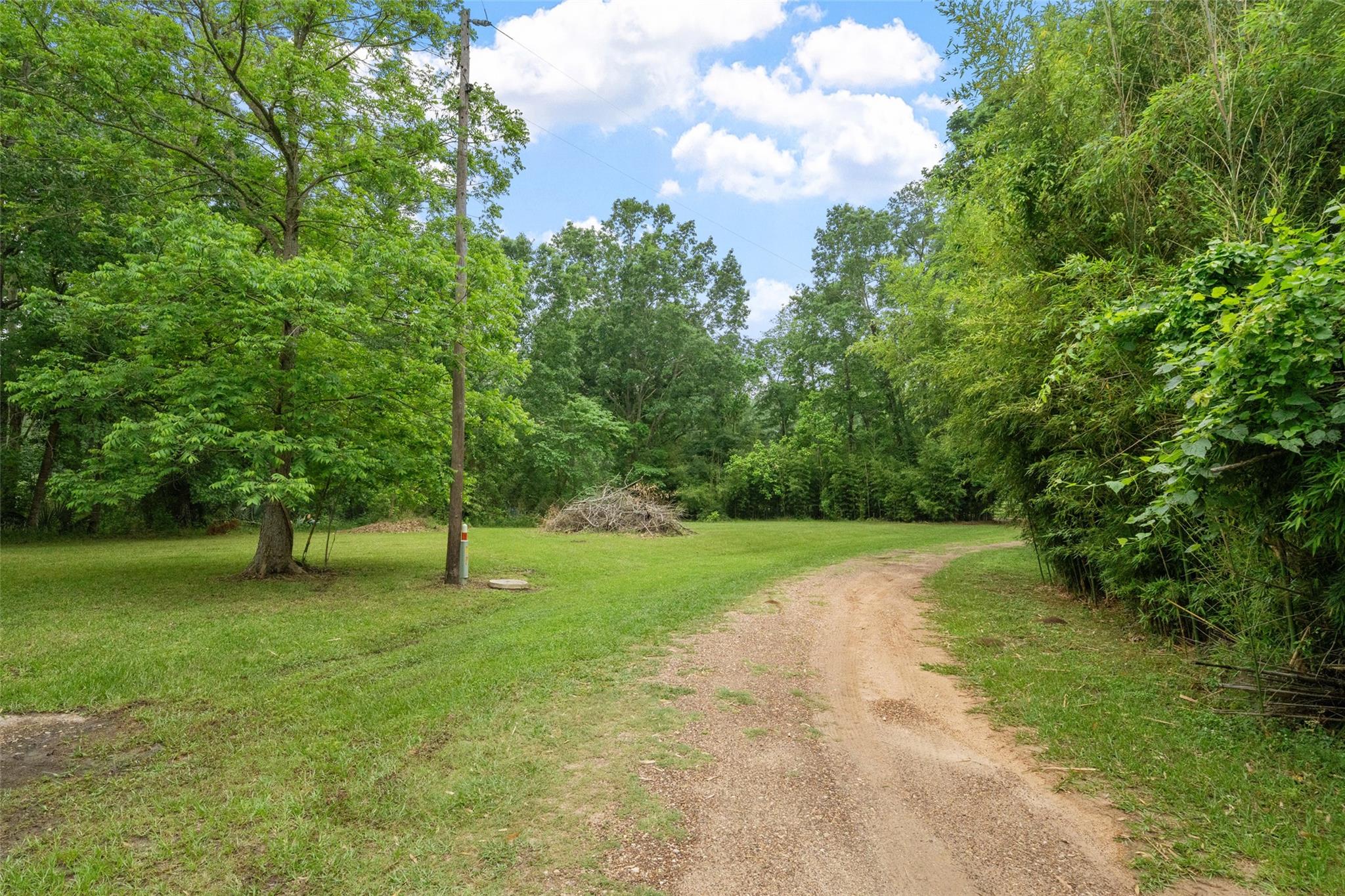 101 Walnut Drive