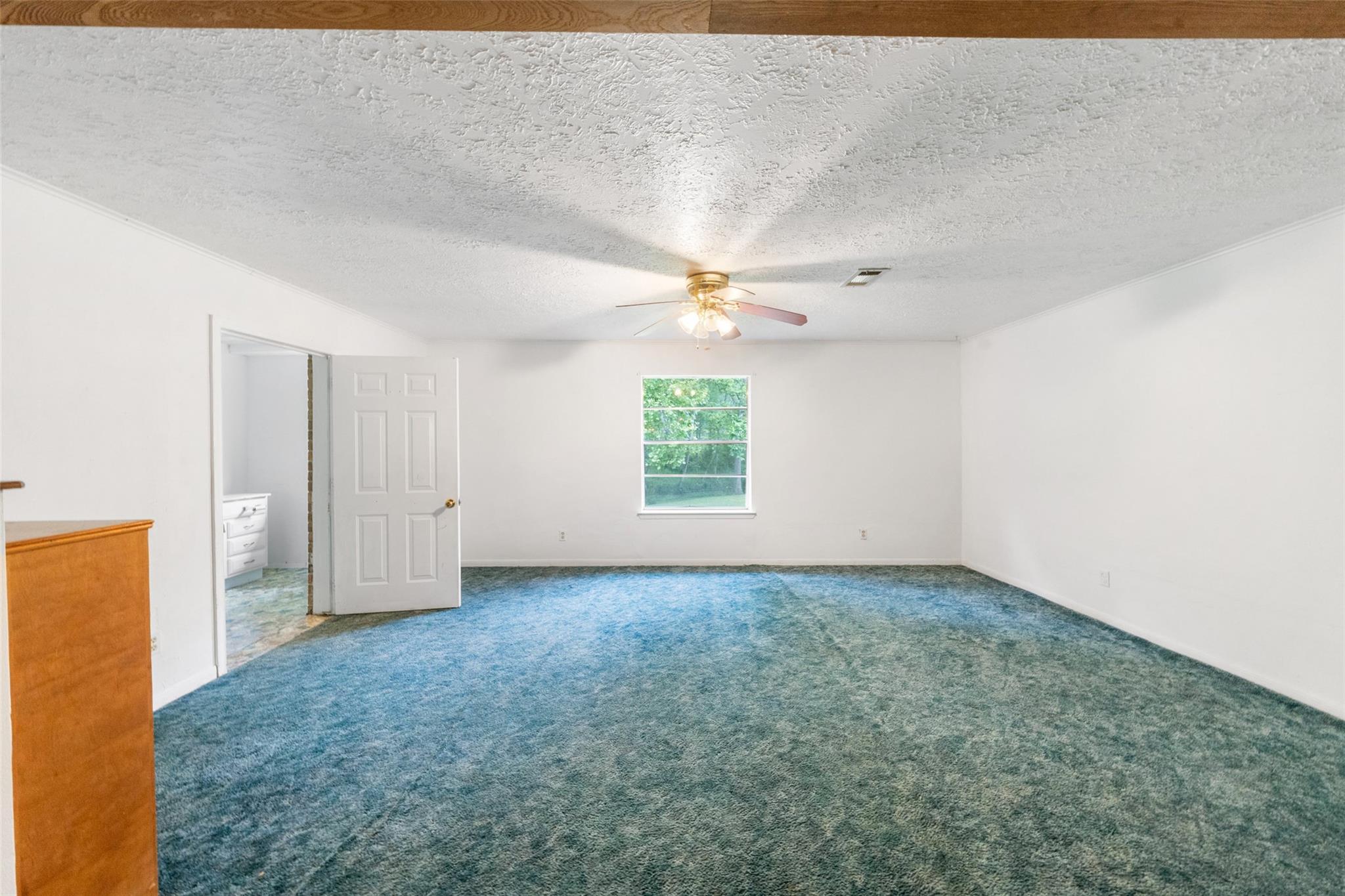 101 Walnut Drive