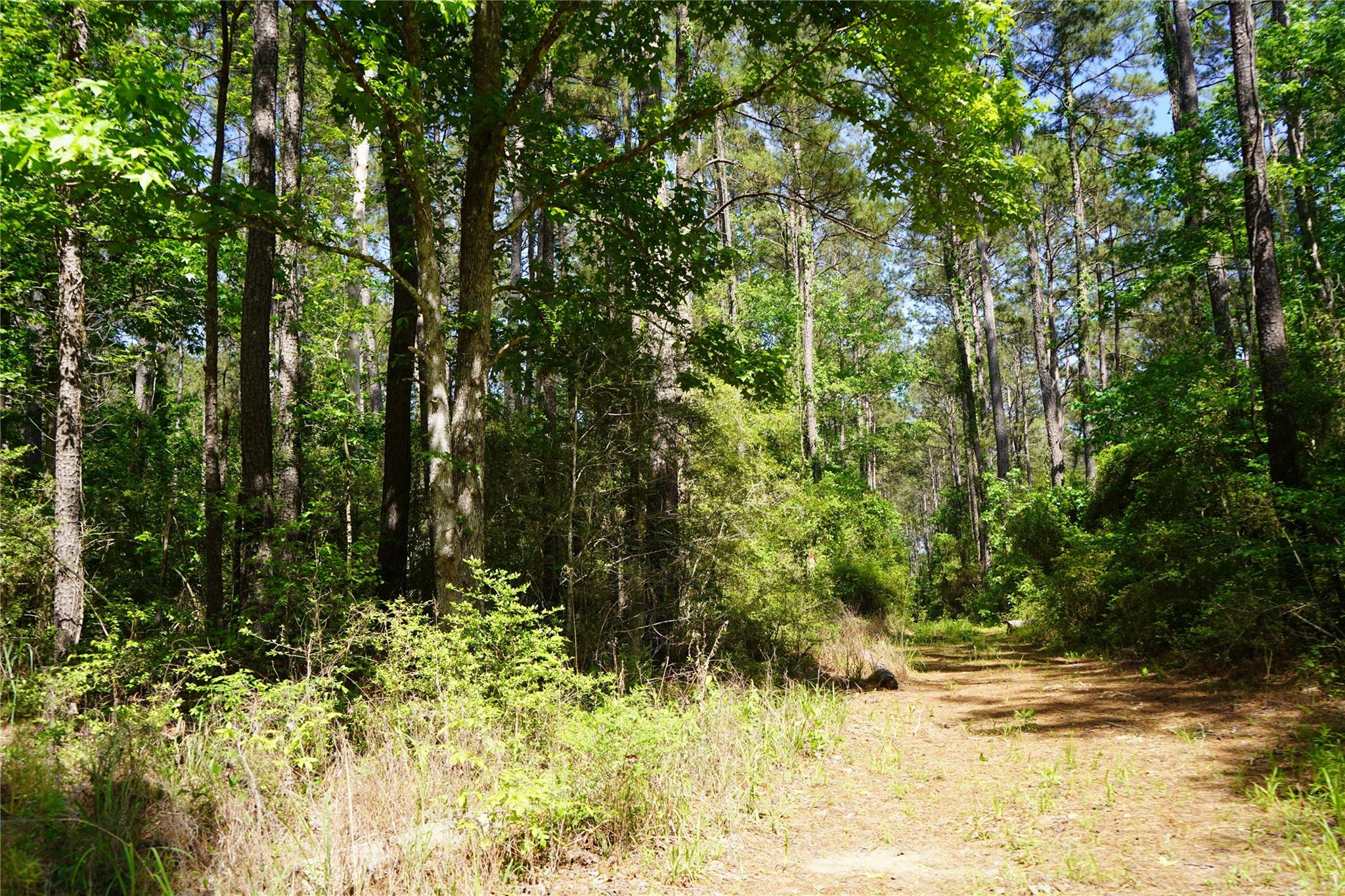 0001 E Tbd Schwab Rd / Sh 146 Road