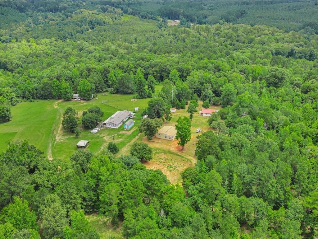 1967 County Road 2717