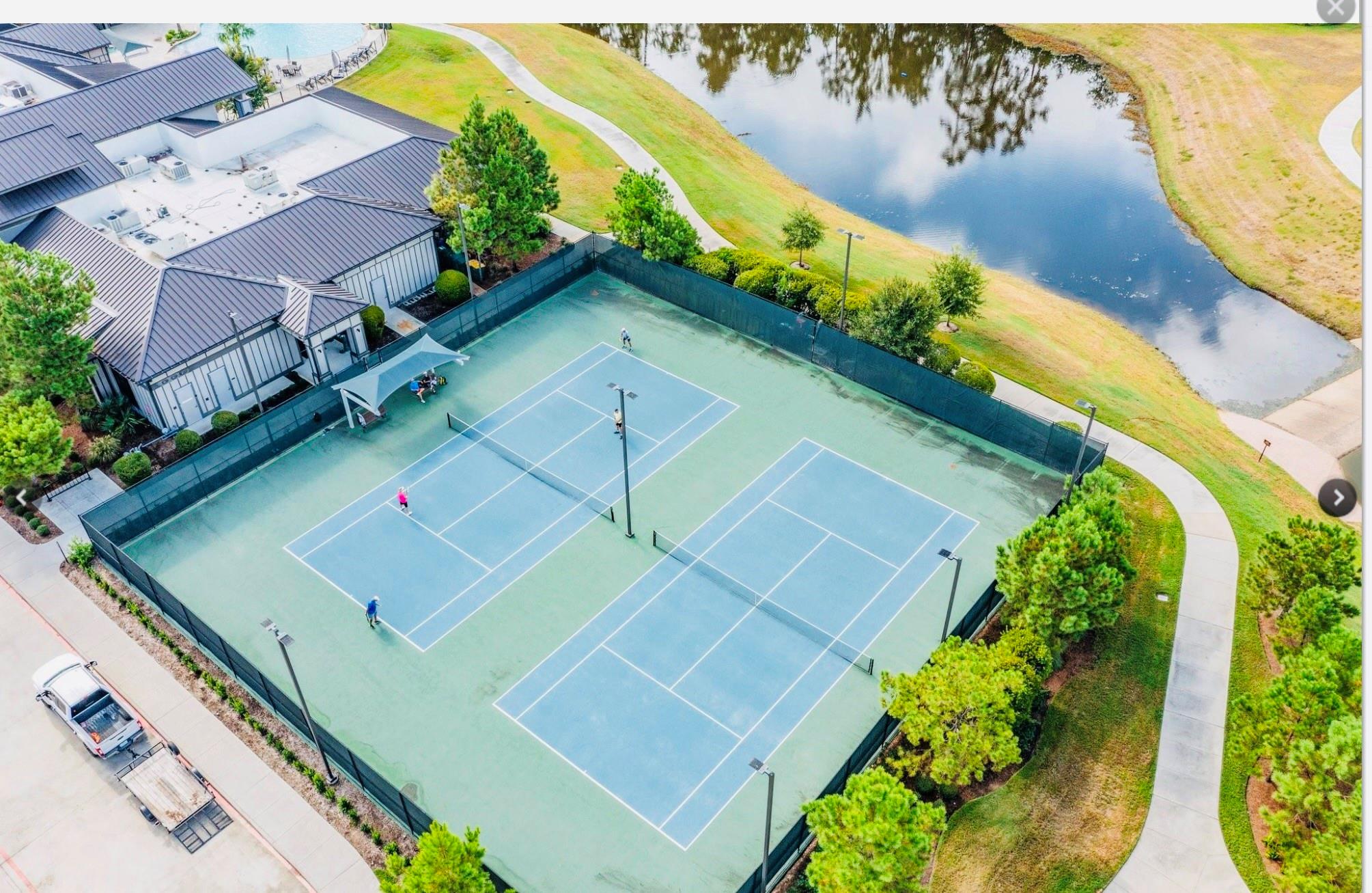 223 Spotted Saddle Court Court