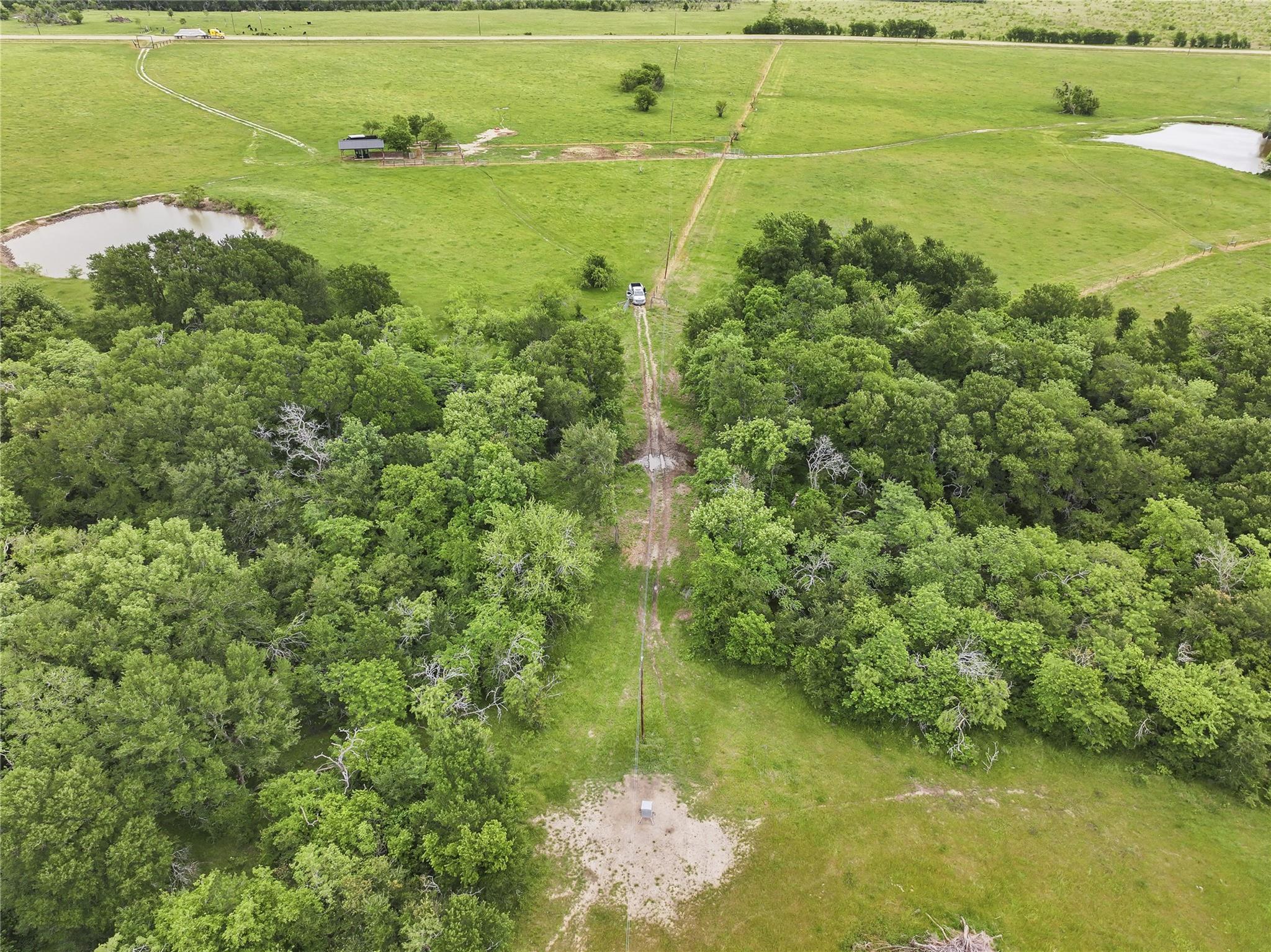 3932 Fm 1245