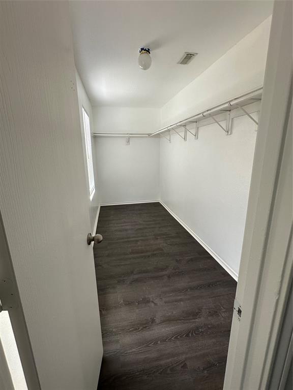 508 Birch Cluster Court