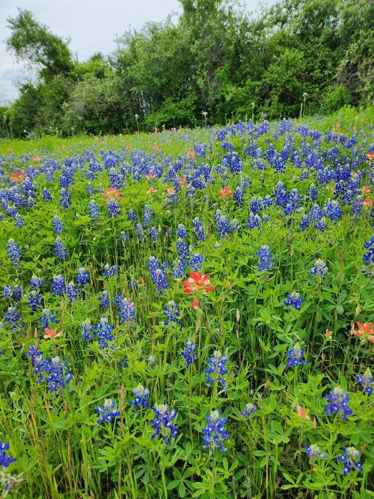 TBD E Us Hwy 90