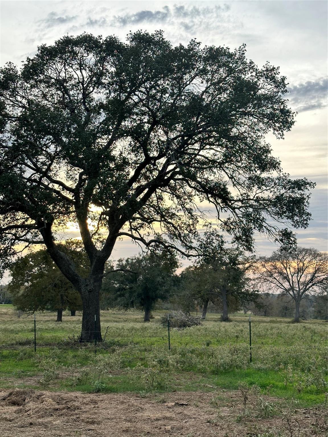 TBD E Us Hwy 90