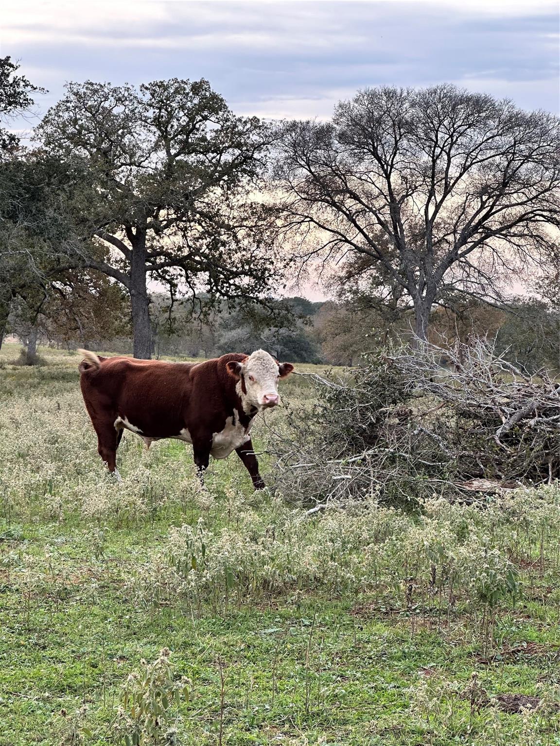 TBD E Us Hwy 90