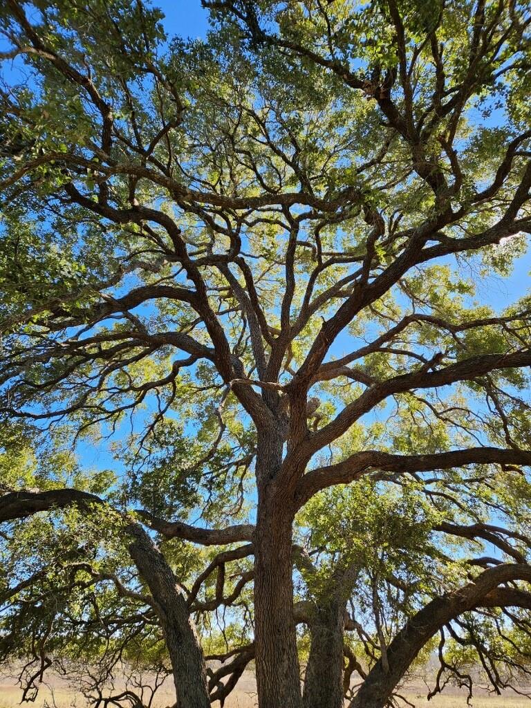 TBD E Us Hwy 90