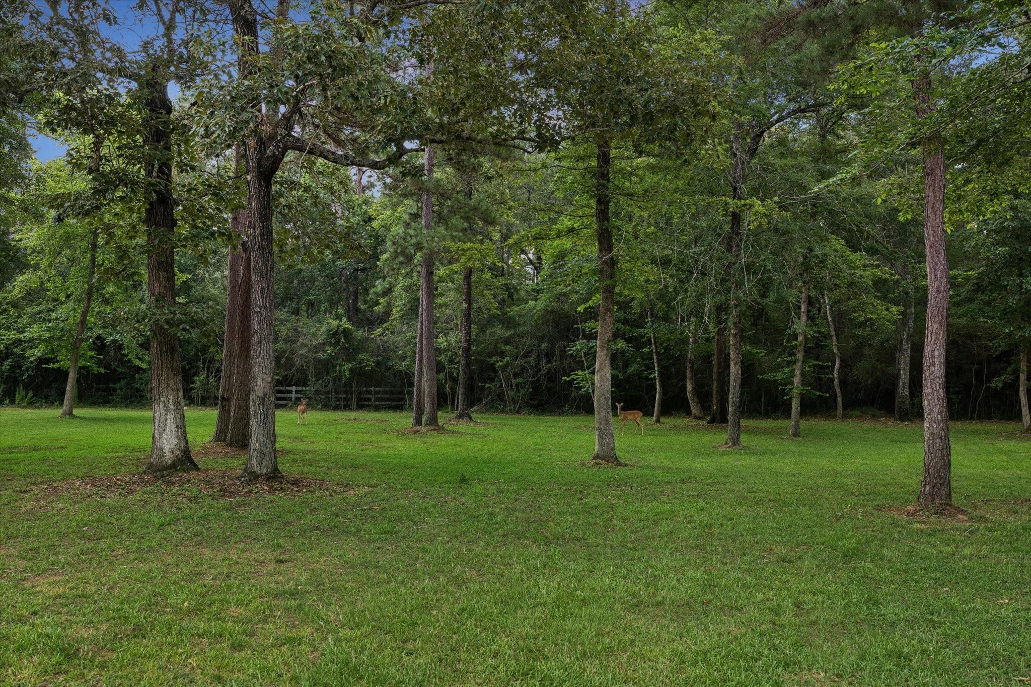10897 Lake Forest Drive