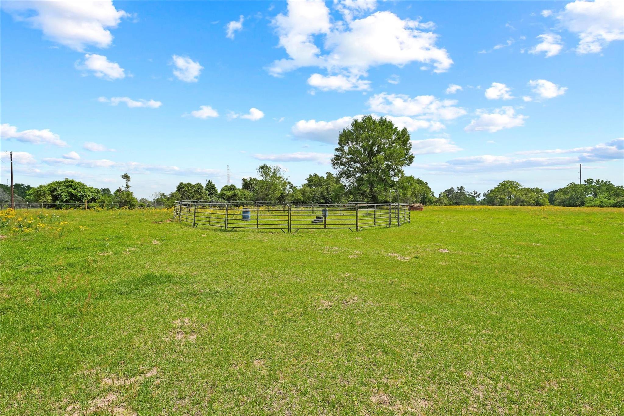 41481 Fm 3346 Road