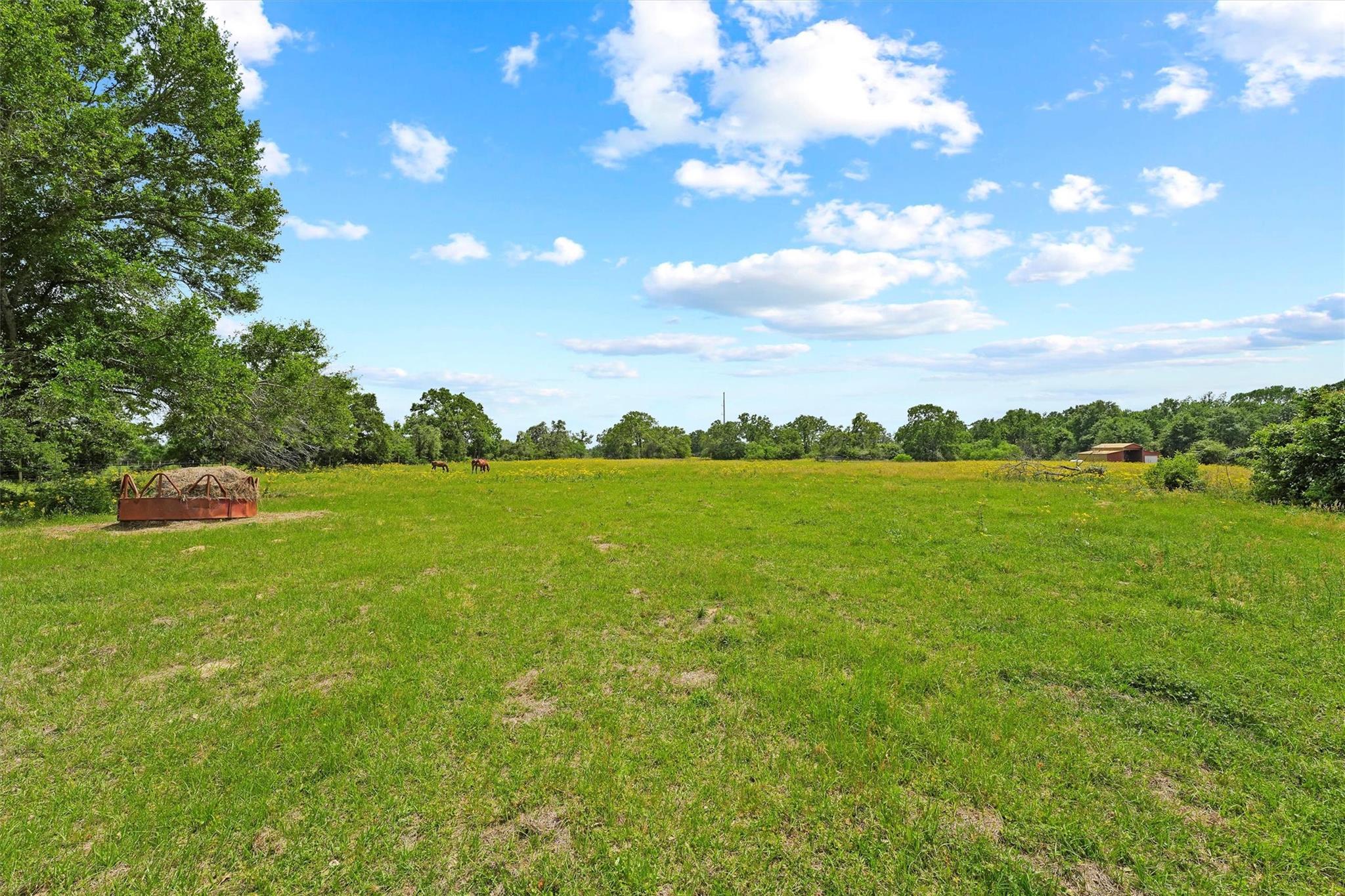 41481 Fm 3346 Road