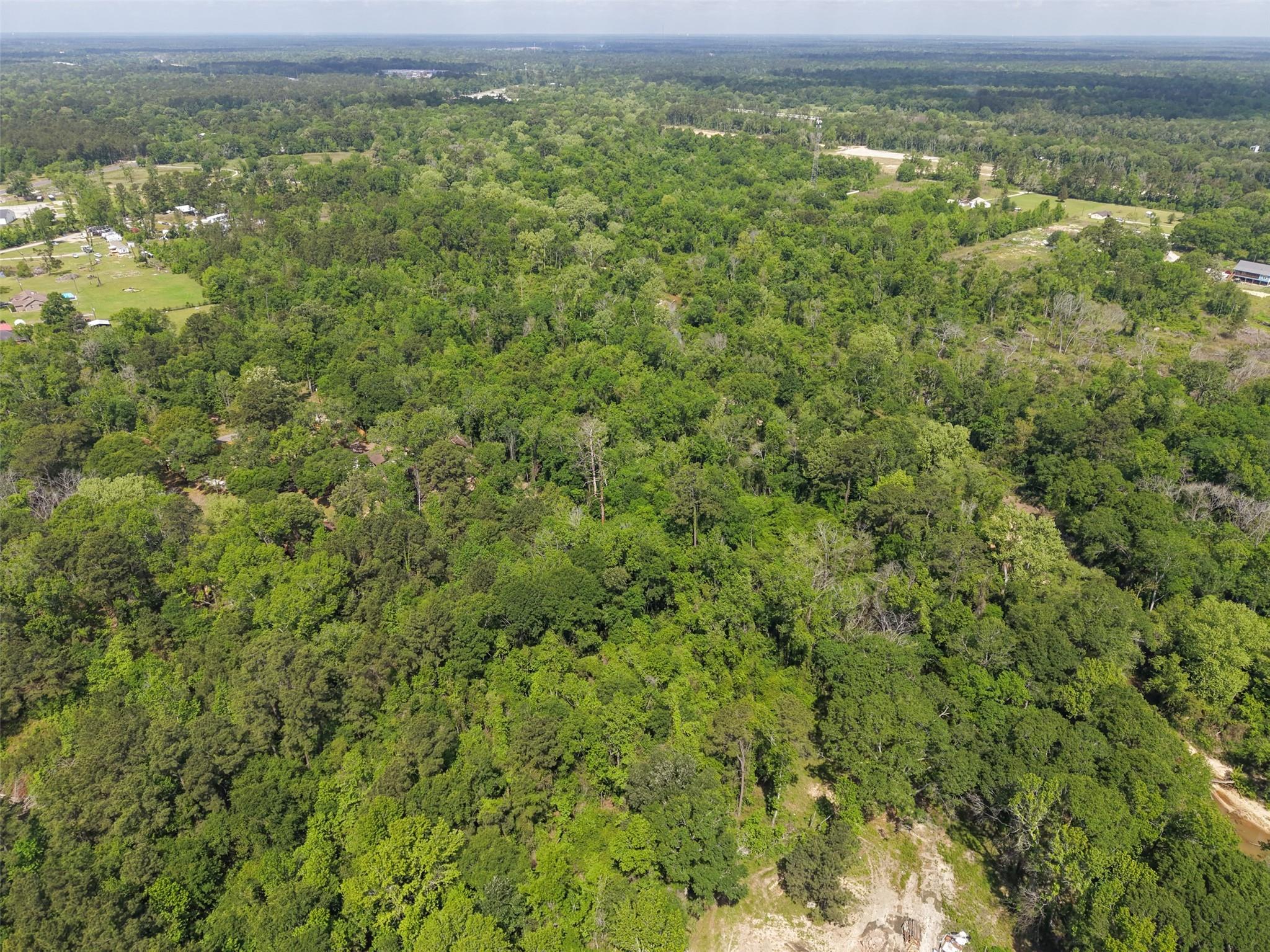 16689 Fm 1485 Road