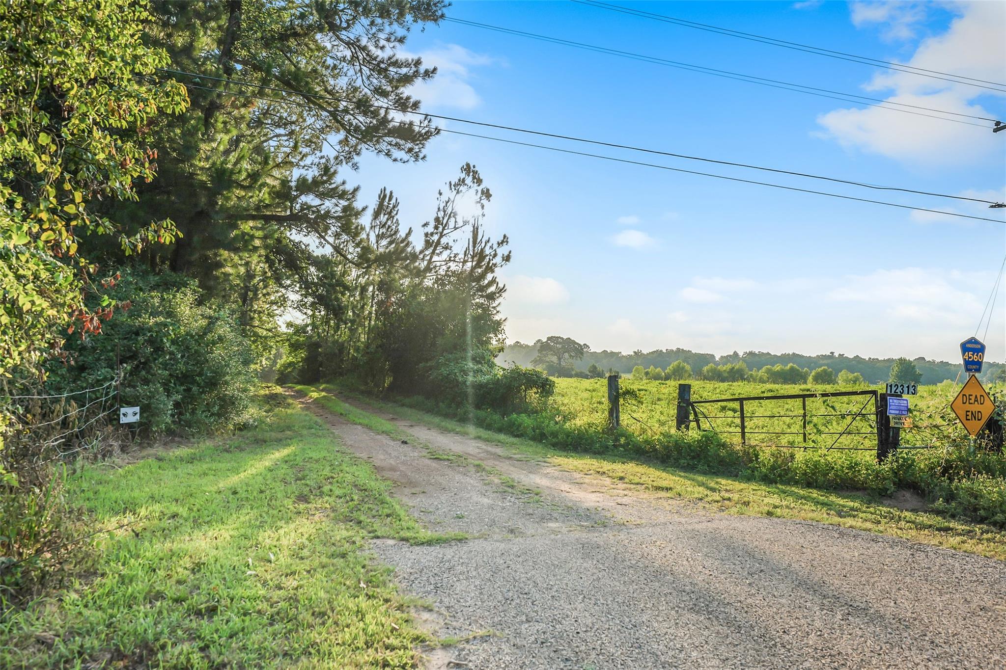 12313 N Sh-19
