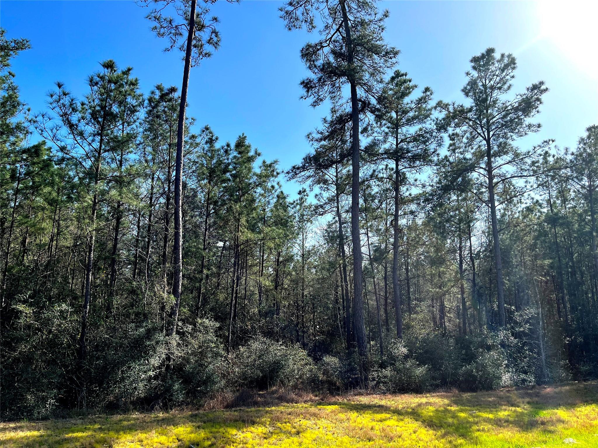 228 Exploration Road