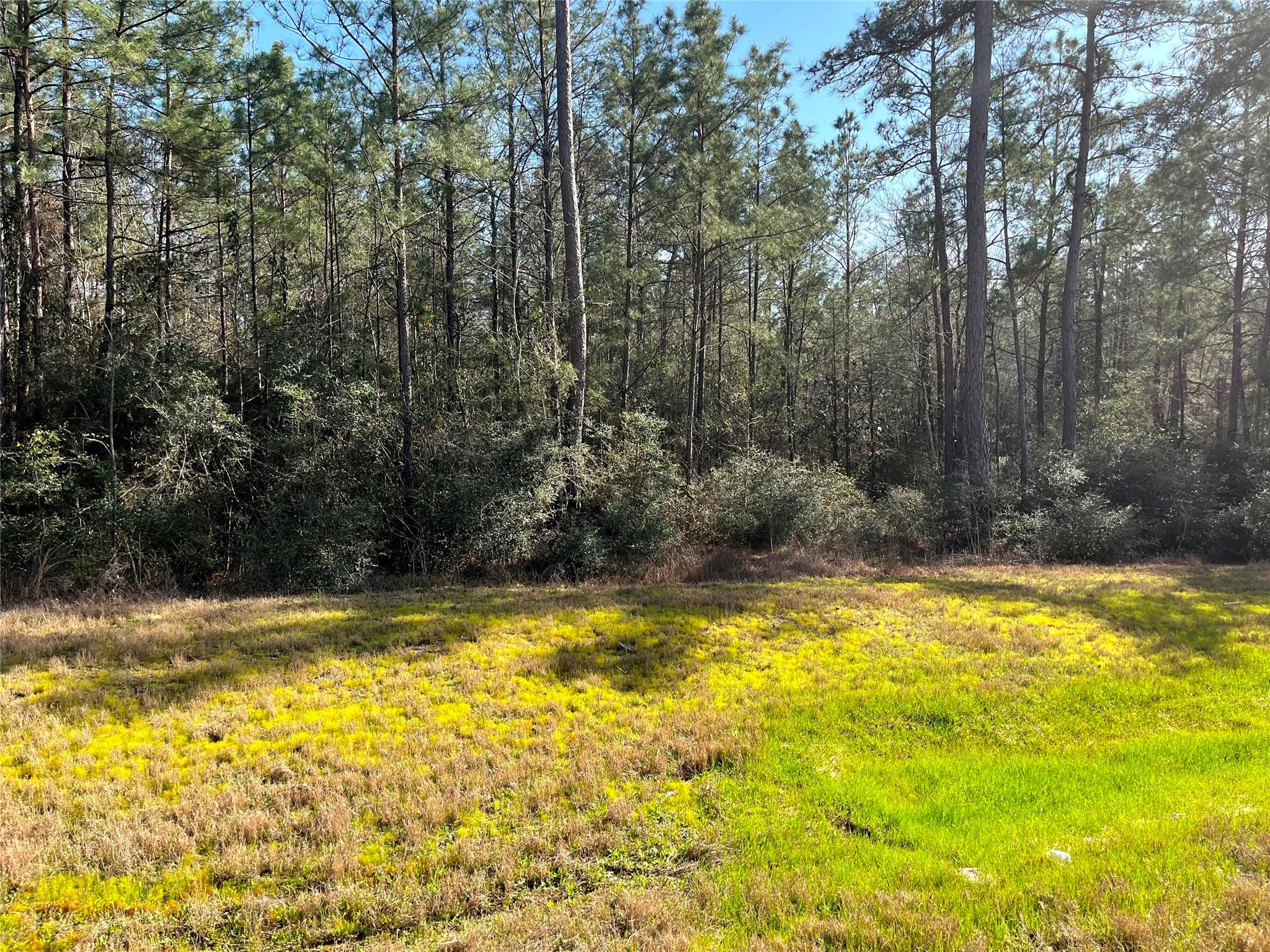 228 Exploration Road