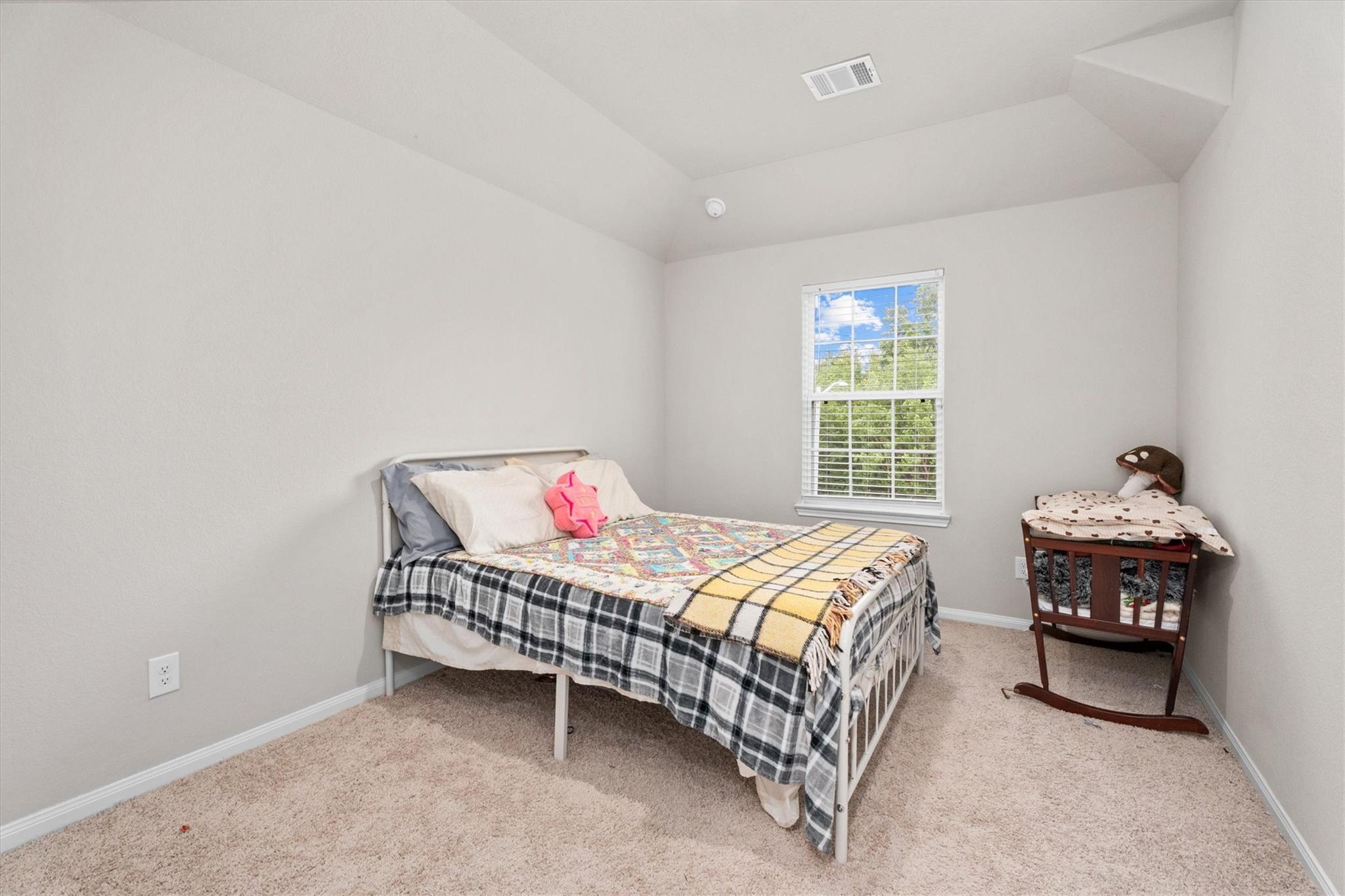 1325 Mount Bassie Trail