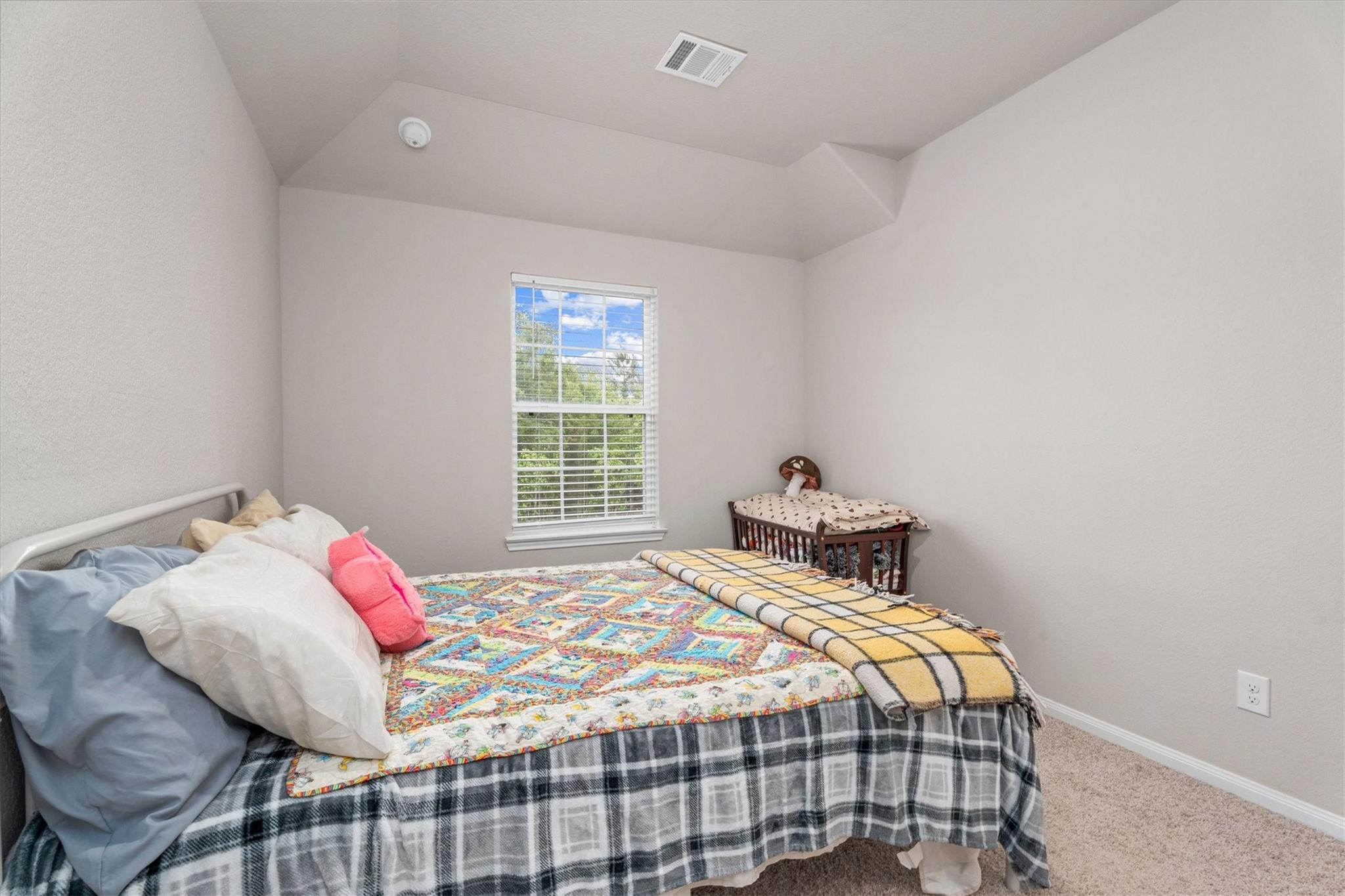 1325 Mount Bassie Trail