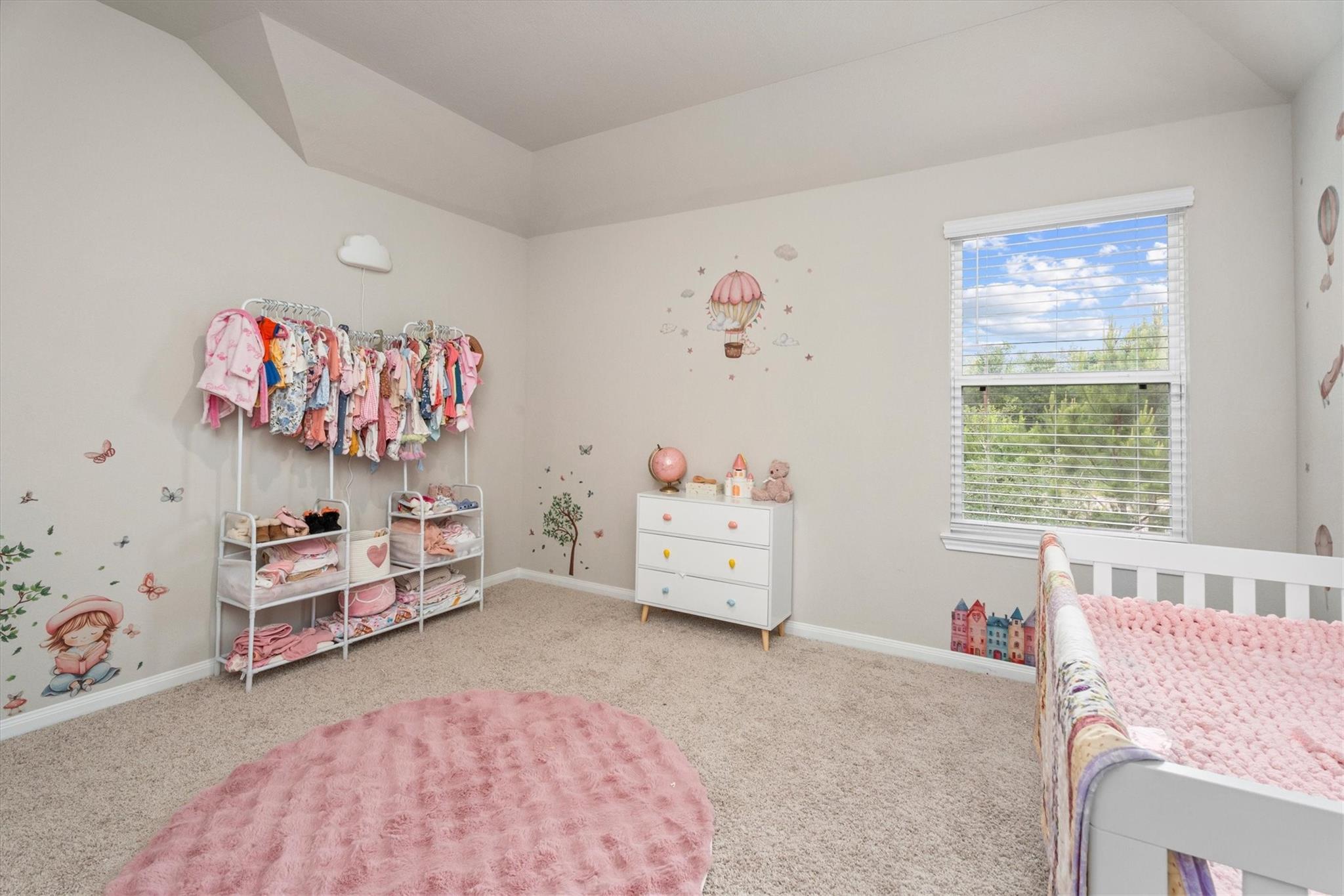 1325 Mount Bassie Trail