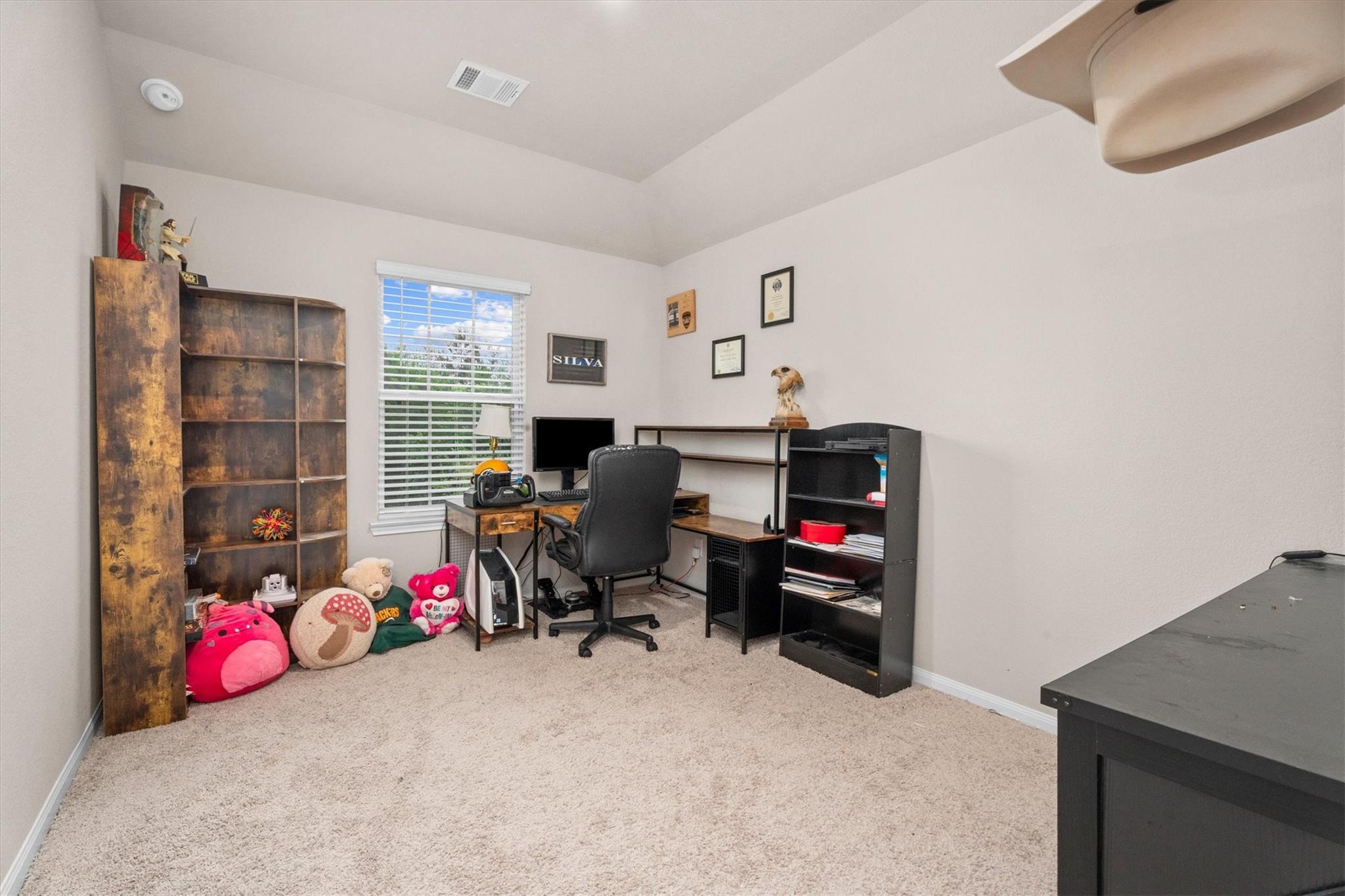 1325 Mount Bassie Trail