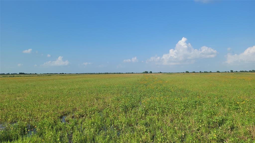 LOT 4 1293 Fm 3013 Road