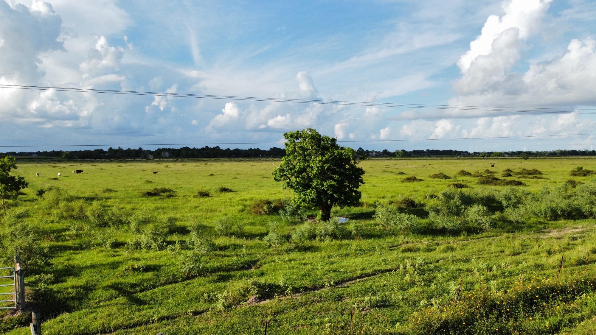 CR308 Fm1163