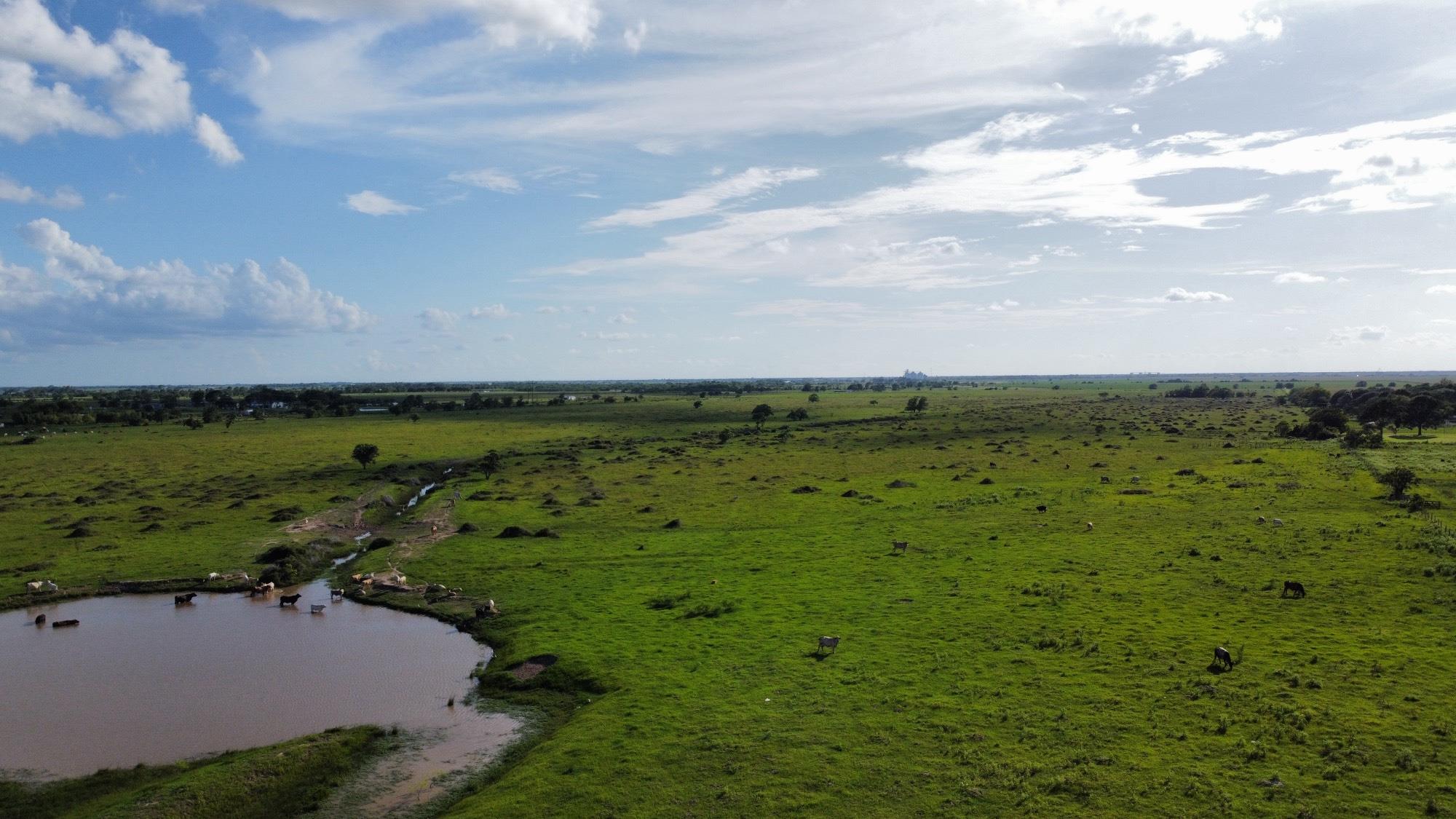 CR308 Fm1163