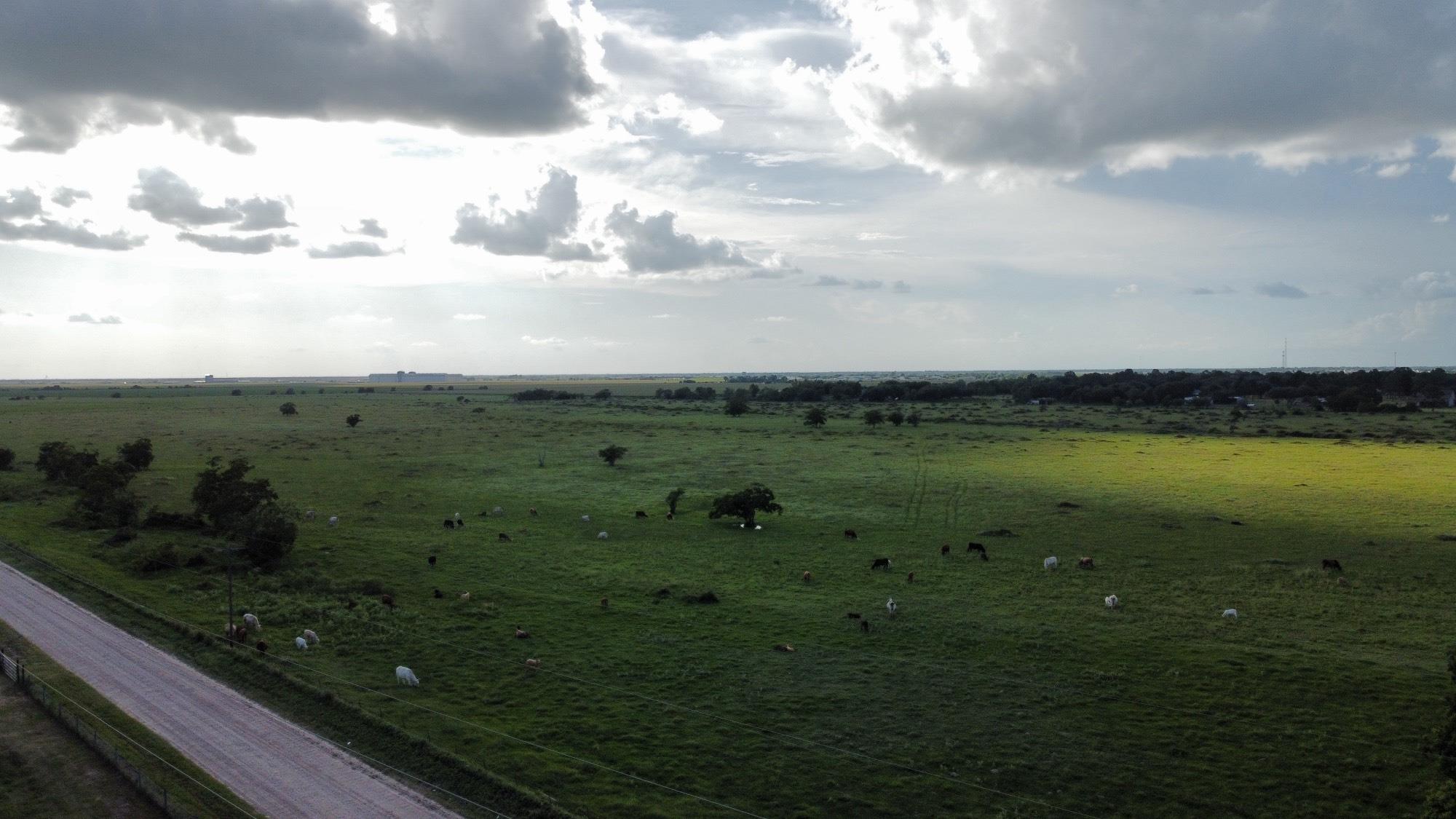 CR308 Fm1163