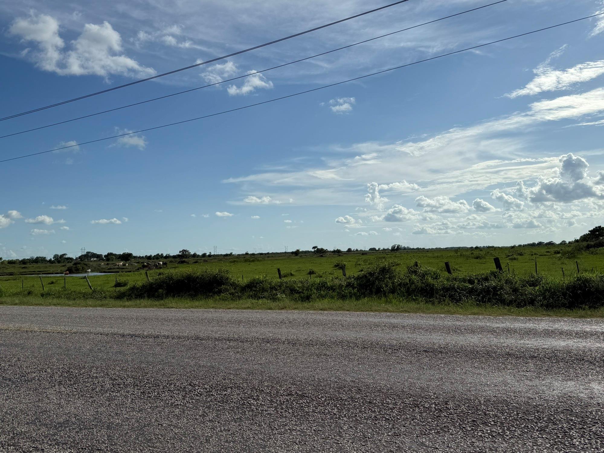 CR308 Fm1163